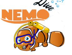 Nemo Dive – Diving Center in Santa Cruz Cabrália and Porto Seguro